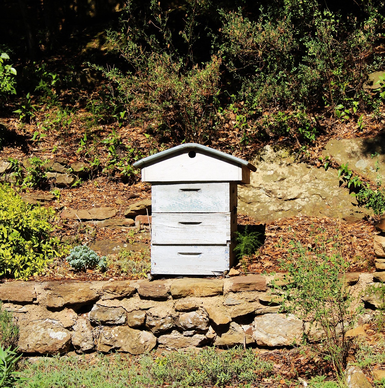 hive, beekeeping, nature, garden, blue beehive, beekeeper